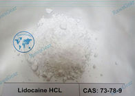 Pharamaceutical Powder Lidocaine HCL For the Treatment of Epilepsy and Asthma CAS73-78-9