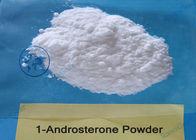98% 1-DHEA Muscle Building Steroids 1-Androsterone CAS 76822-24-7 for Muscle Gain