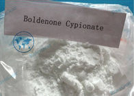 Boldenone Cypionate Bulking Cycle Muscle Growth Steroids Powder CAS 106505-90-2