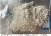 Popular Injectable liquid Nandrolone Decanoate DECA Powder 99% Purity Steroids For Bodybuilding