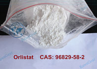 Weight Loss Orlistat Powder For the Treatment of Obesity and Hyperlipidemia CAS 96829-58-2