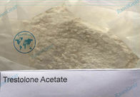 Pharmaceutical Trestolone Acetate Ment Powder For Sports Performance Enhancement