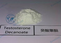 Injectable Testosterone Decanoate Powder for Promote Male Hormone And Protein Synthesis
