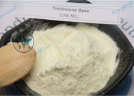 Powerful Anabolic Steroid Trenbolone Base For Energy Increase and Muscle Building CAS 10161-33-8