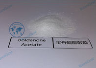 Boldenone Acetate Muscle Growth Steroids Raw Hormone Powders CAS 2363-59-9 with Safe Ship