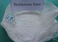 Anabolic Steroid Hormone Powder Boldenone Base for Muscle and Strength Growth