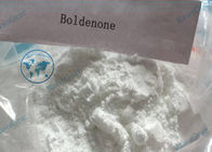Anabolic Steroid Hormone Powder Boldenone Base for Muscle and Strength Growth