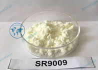 SR9009 Sarms Powder Wholesale For Increase Exercise Endurance and Loss Weight 1379686-30-2