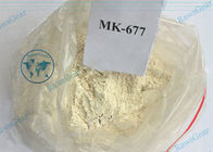 Fitness Use Sarms Cycle Powder MK 677 Ibutamoren Factory Supply With 100% Safe Shipment