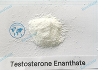 Legit Injectable Testosterone Enanthate Bodybuilding Steroid Test E for Muscle Growth Factory Supply