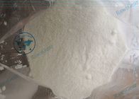 Male Bodybuilding Sustanon 250 Injection Factory Supply High Purity Steroid Sustanon 250 Powder