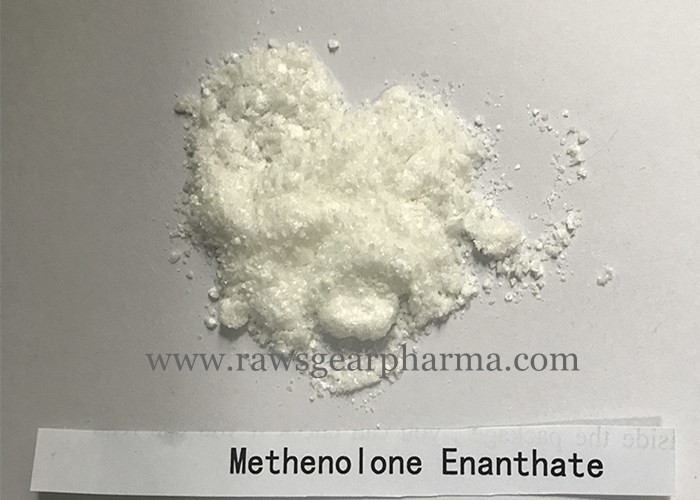 Natural Steroid Methenolone Enanthate Bodybuilding Primo E Powder Primobolan For Muscle Growth