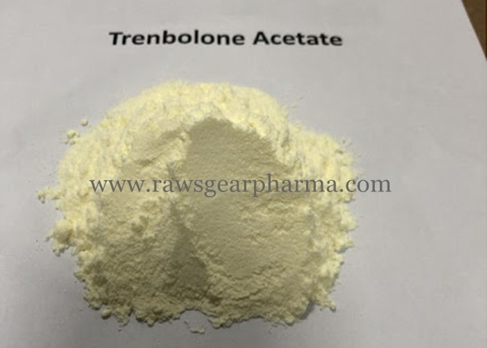 USP Standard Trenbolone Acetate Muscle Building Steroids Tren Ace 100mg/ml Injectable Raws
